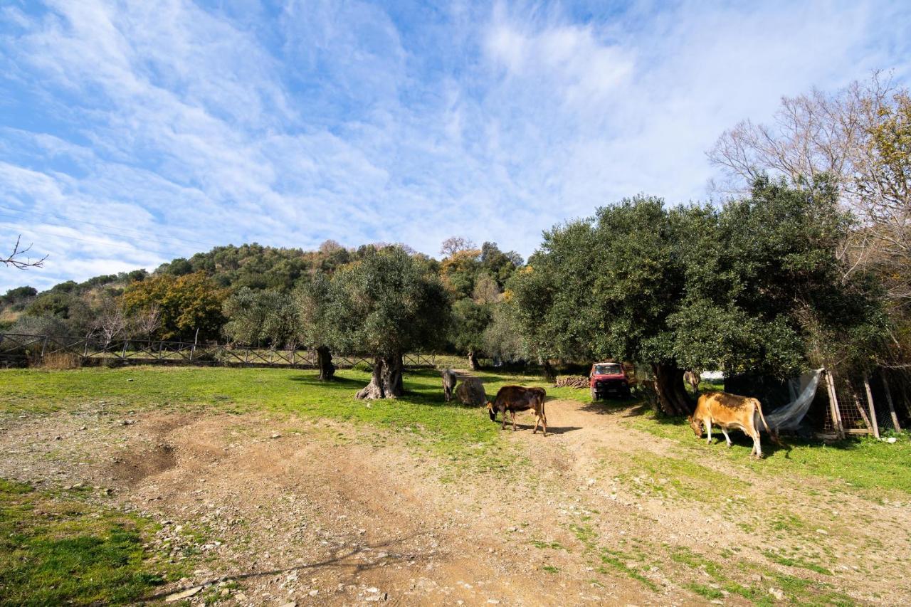 Agriturismo San Basilio Salento Buitenkant foto